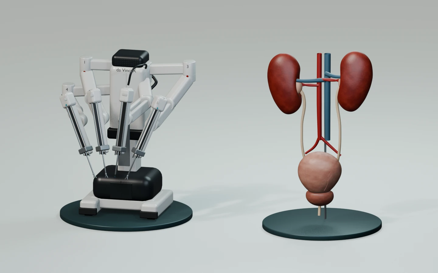 Robotik cerrahi hasta başı ünitesi ve erkek idrar sisteminin ayrı kaidelerde gösterildiği temsili üç boyutlu model
